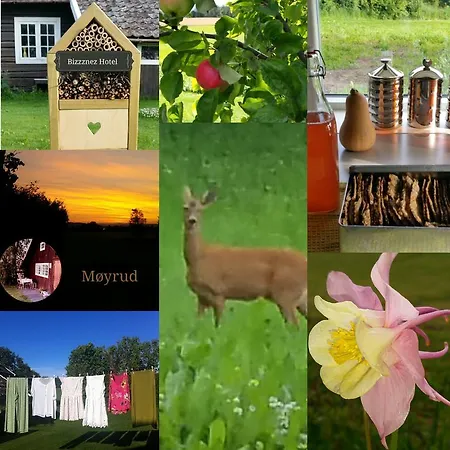 Guest house Moyrud